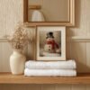 bathroom-towel-display-with-mirror-reflection Vintage Snowman Printable Wall Art